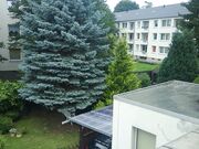 Annabellerogers - Naked And Playing With Pussy Out Window