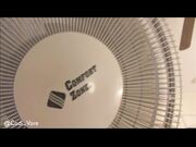 Manyvids -   Codi Vore Codi Vore Fucks A Fan Pov