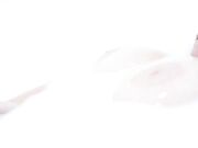 Manyvids -   Codi Vore Cream Squirting Ritual Of The Succubus