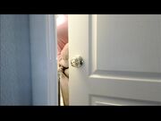 Manyvids -   Codi Vore Shower Perv Pov