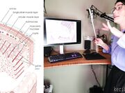 Keri Berry - Anal Fitness Beginner Basics & Prep