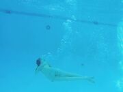 Keri Berry - Public Flashing Adult Swim