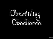 Stormy - Obtaining Obedience