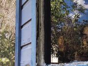 Naomi Dee - Backyard Blowjob