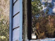 Naomi Dee - Backyard Blowjob