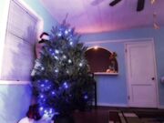 Naomi Dee - Xmas 2017