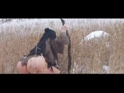 Korina Kova - The Return Or Queen Kova 