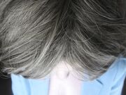 Sydney Harwin -  The Cult Whore