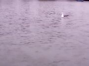 pitykitty -  SFW Date Day