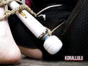 Korallulu - korallulu SPIDER GWEN tied up overstimulation