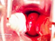 Elouise Please - Speculum Study