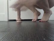 NoelleEastonXXX - Close Up Dildo Riding