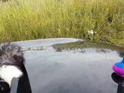 AsianDreamX - Asiandreamx Public Car Hood And Roof Toys Play