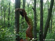 AsianDreamX - Backstage Bodyart Leopard