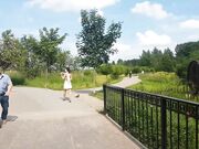 AsianDreamX - Public Outdoors Anal Dp Masturbation