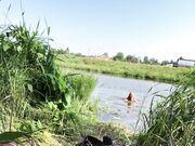 Ivy Roses - Clip Swimming Naked In River Free Crush