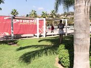 Ivy Roses - Dripping Wet In Public Fountain Barefoot