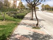 Ivy Roses - Flashing In My Neigbourhood High Heels