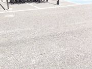 Ivy Roses - Flashing In Public High Heels N Minidres