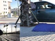 Ivy Roses - Laying Blindfolded In Sidewalk