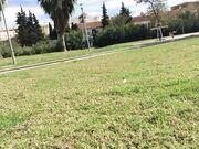 Ivy Roses - Naked And Playing In Public Park Custom