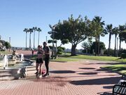 Ivy Roses - Pantsing 14 Workout And Soaked Clothes