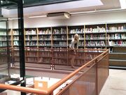 Ivy Roses - Pantsing 16 Library