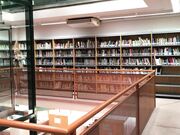 Ivy Roses - Pantsing 16 Library