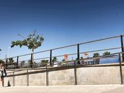 Ivy Roses - Pantsing Vid 3 The Beach