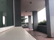 Ivy Roses - Pantsing Vid 6 Strapless Dress