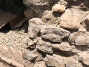 Ivy Roses - Public Buttplug Flashing In High Heels