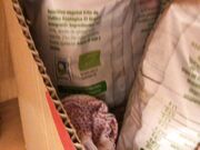 Ivy Roses - Sexy Veggies In Busy Supermarket