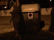 Ivy Roses - Walking Naked In City At Night Highheels