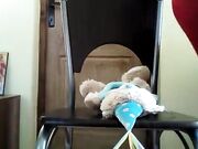 Buttcrushing Teddybear