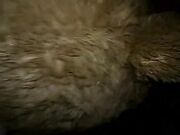 Fattasswhore - Cuming Hard On Mr Teddy