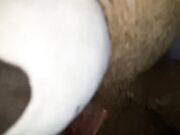 Fattasswhore - Cumming Hard On Mr Teddy 2