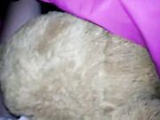 Fattasswhore - Fucking Mr Teddy From Behind