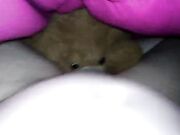 Fattasswhore - Mr Teddy Likes It Rough