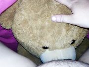Fattasswhore - My Teddy Bear Licks My Big Nasty Pussy