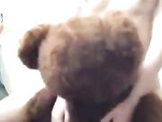 Girl Fuck With Teddy