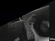 Plush Toy Domination