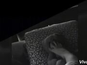 Plush Toy Domination