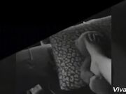 Plush Toy Domination