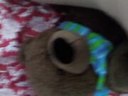 Sweet_tea82 - Fucking My Teddy