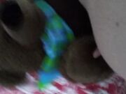 Sweet_tea82 - Fucking My Teddy