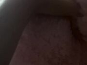 Teddyhumper69 - Teddy Eats My Pussy