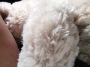 The Tiny Whore Gets Fucked By Teddy Bear