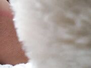 The Tiny Whore Gets Fucked By Teddy Bear