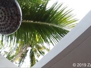 Saraanddave - Bj in a outdoor shower