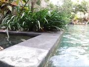 Saraanddave - Masturbating public pool